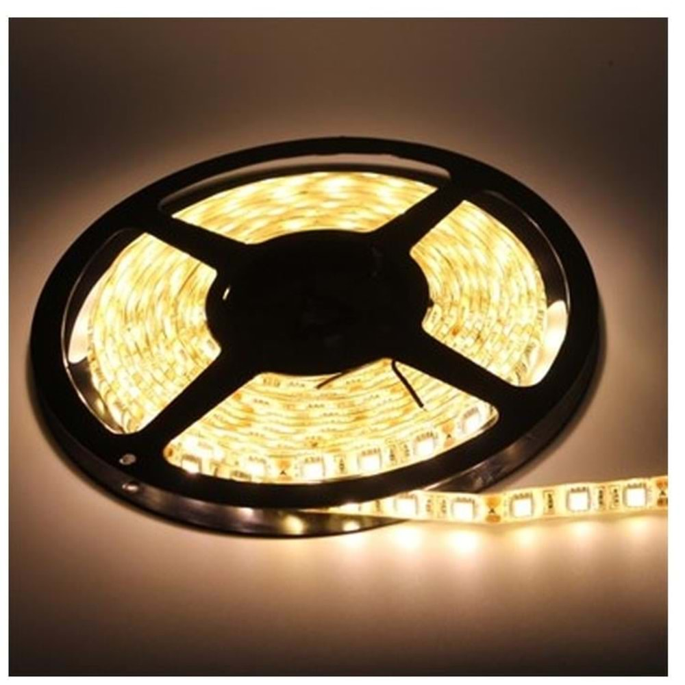 Şerit Led 3 Çip 5 Metre 40X40 Günışığı Ac